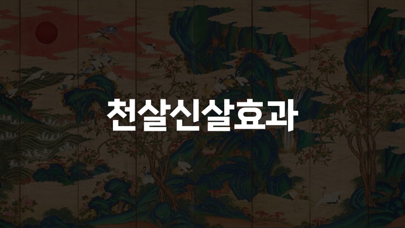 천살신살효과