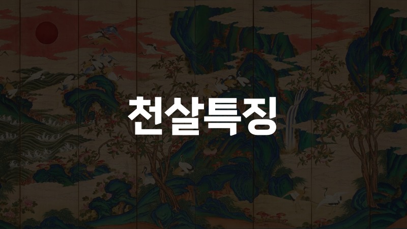 천살특징
