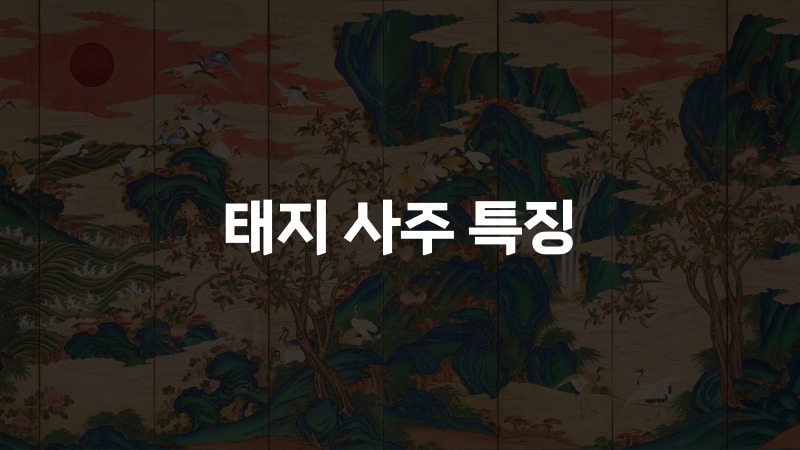 태지 사주 특징