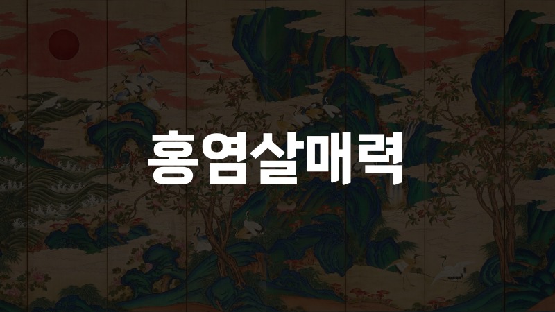 홍염살매력
