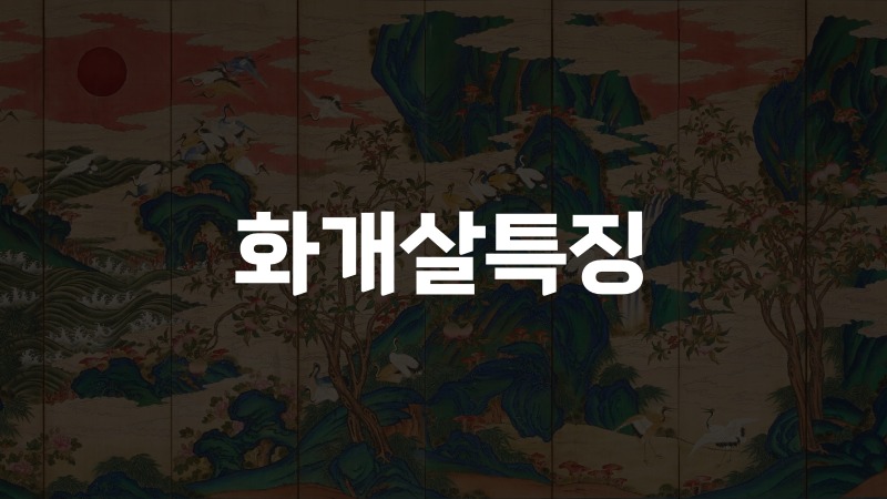 화개살특징