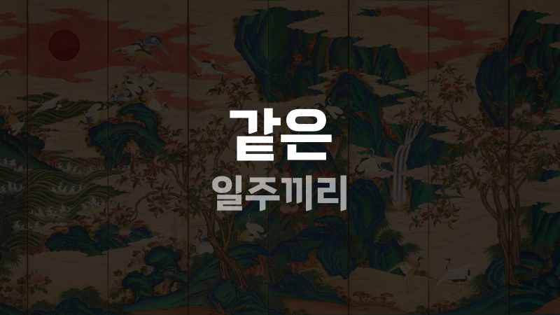 같은 일주끼리