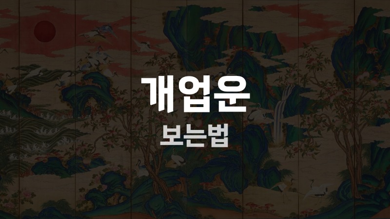 개업운 보는법