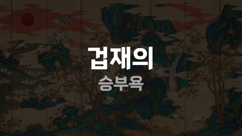 겁재의 승부욕