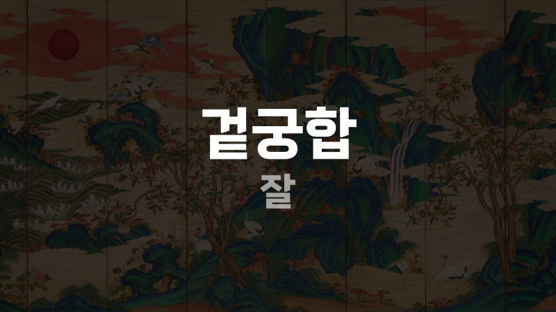 겉궁합 잘