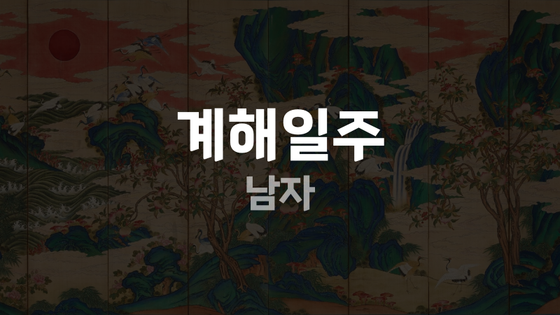계해일주 남자