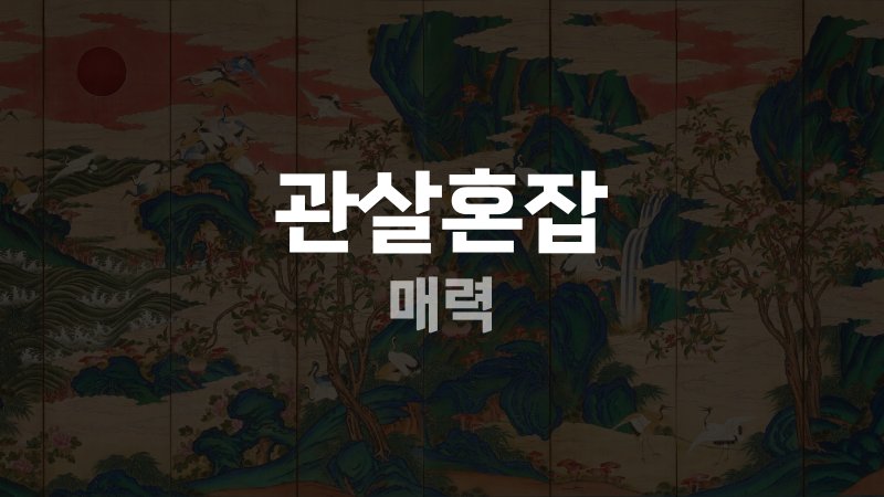 관살혼잡 매력