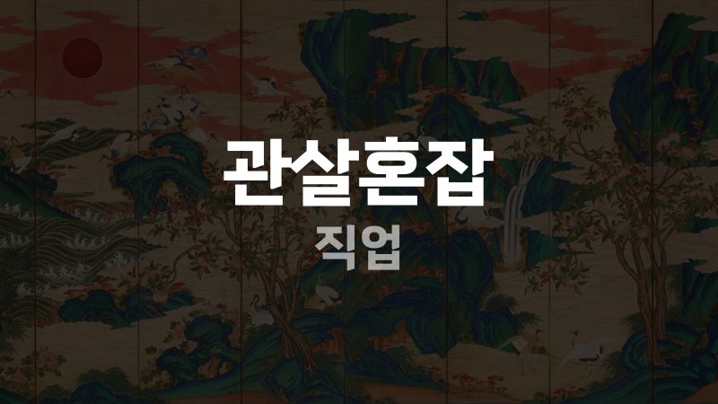 관살혼잡 직업