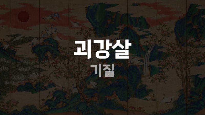 괴강살 기질