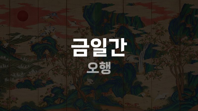 금일간 오행