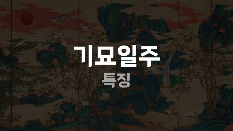 기묘일주 특징