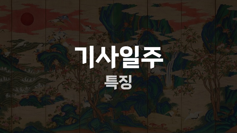 기사일주 특징