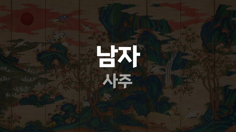 남자 사주