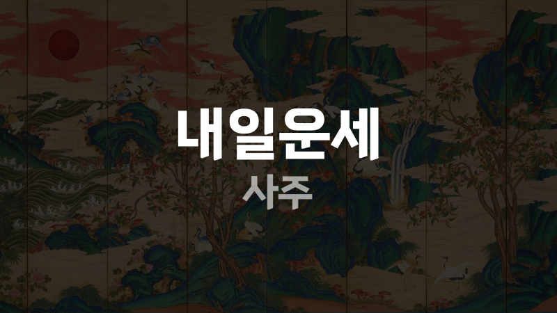 내일운세 사주