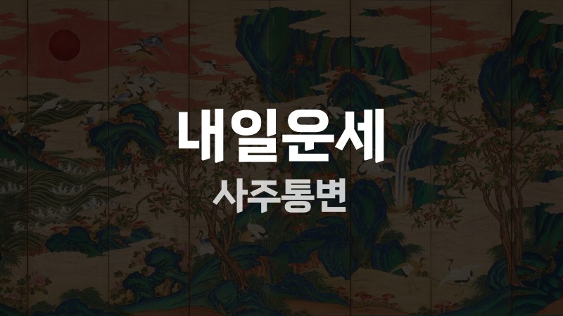 내일운세 사주통변