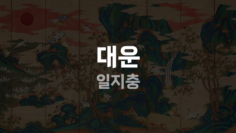 대운 일지충