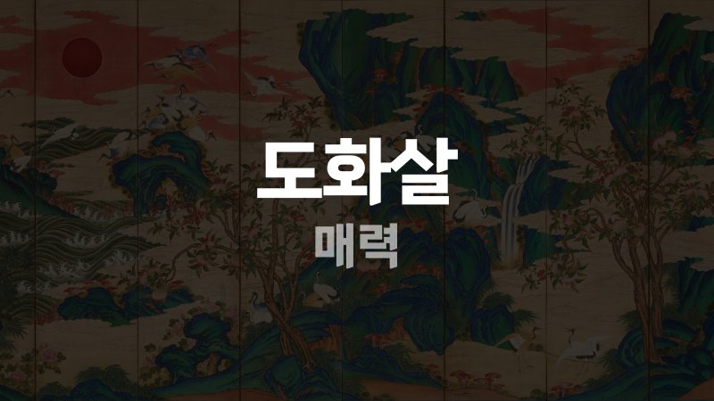 도화살 매력
