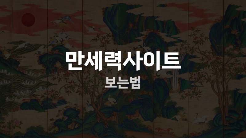 만세력사이트 보는법