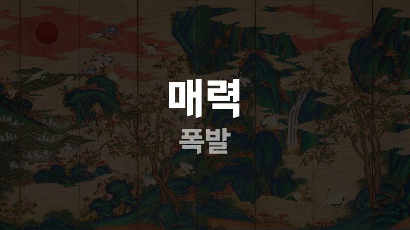 매력 폭발