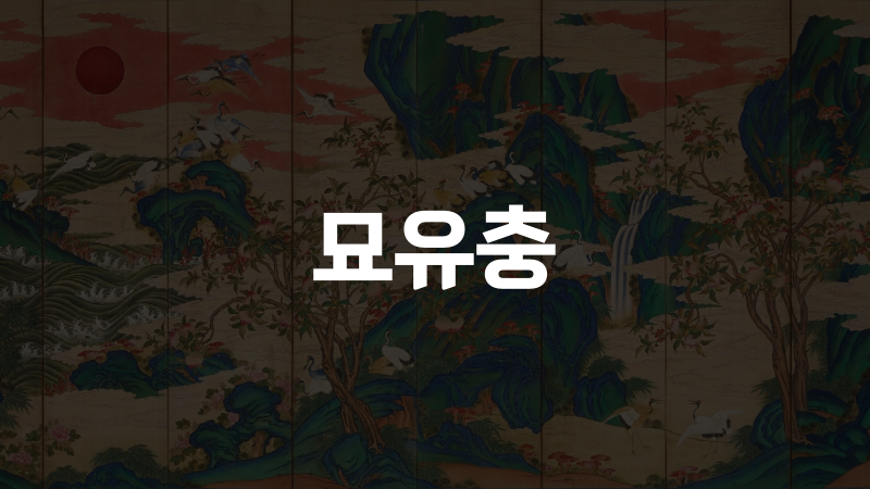 묘유충