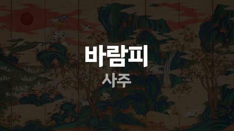 바람피 사주