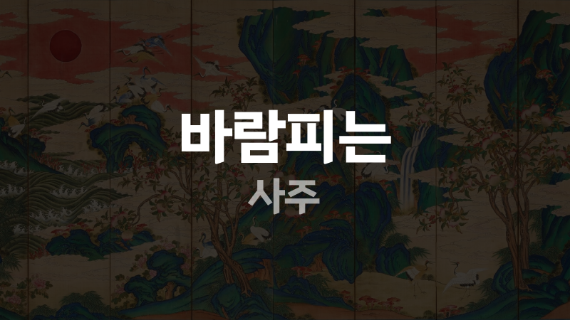 바람피는 사주