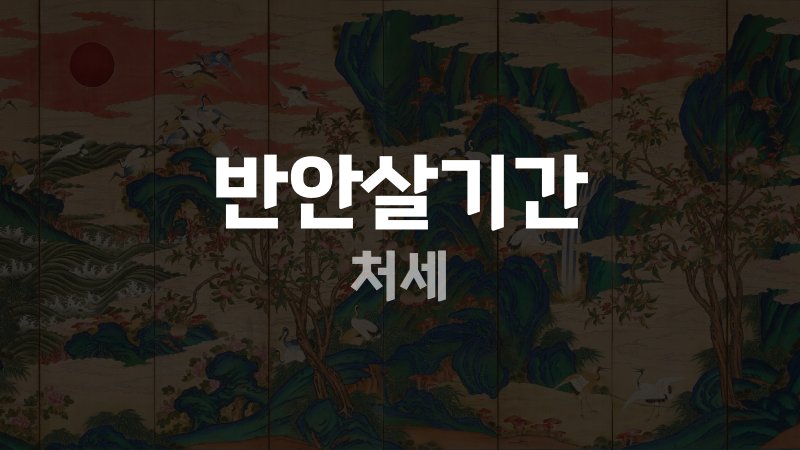 반안살기간 처세