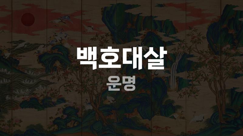 백호대살 운명
