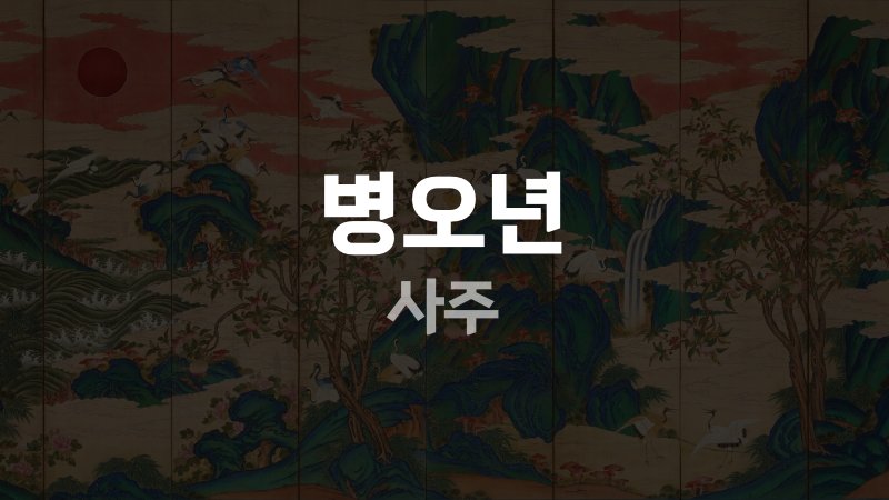 병오년 사주