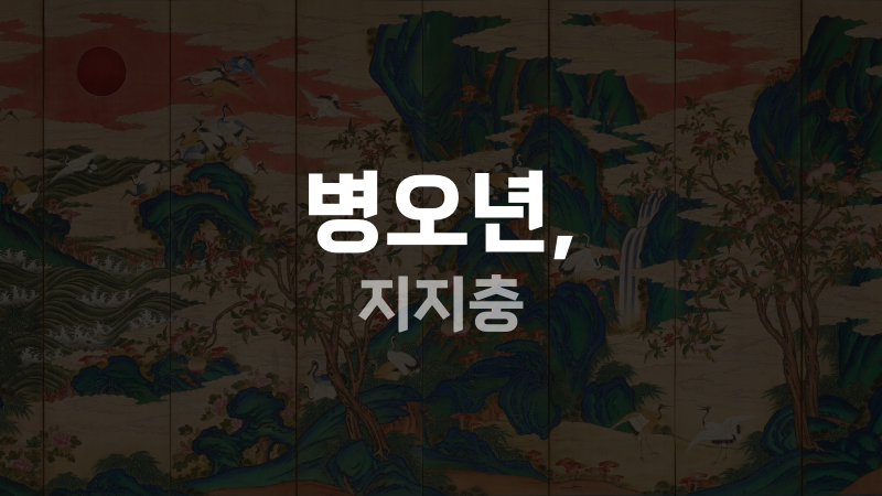 병오년, 지지충