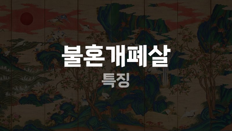 불혼개폐살 특징