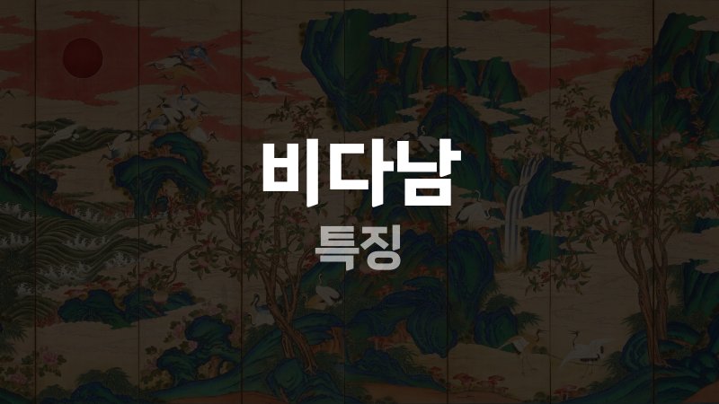 비다남 특징