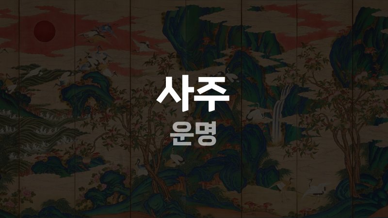 사주 운명
