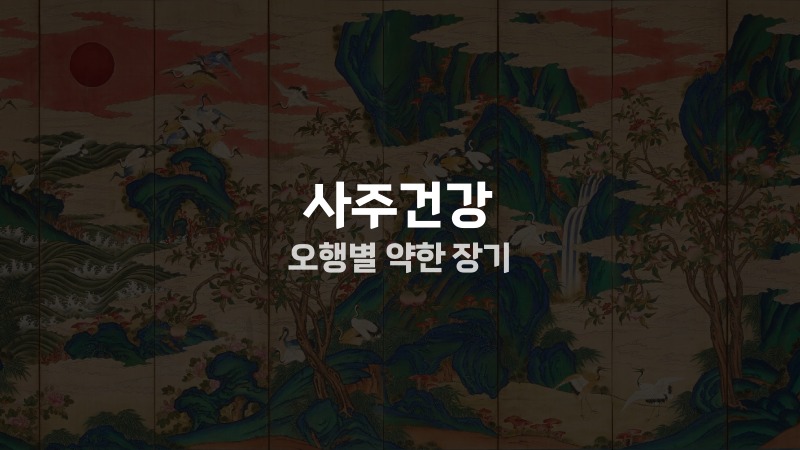 사주건강 오행별 약한 장기