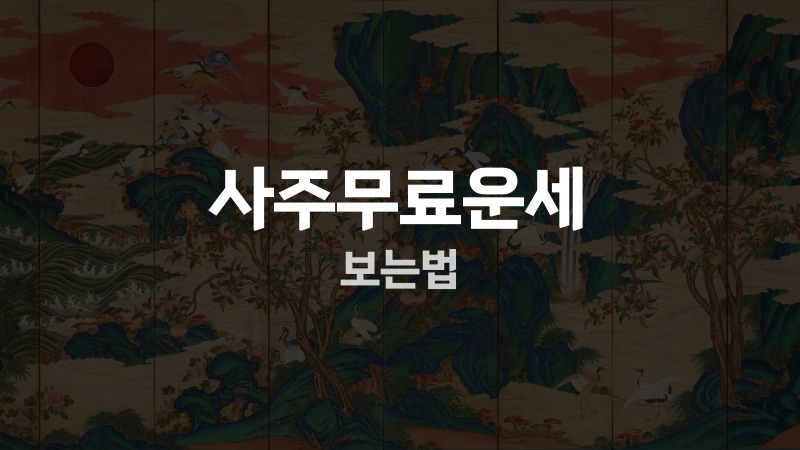 사주무료운세 보는법