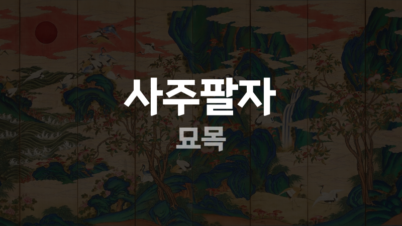 사주팔자 묘목