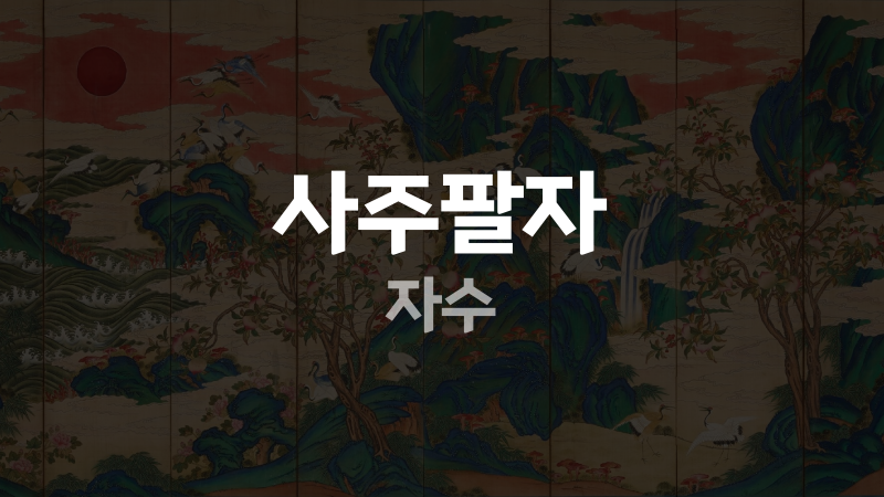 사주팔자 자수