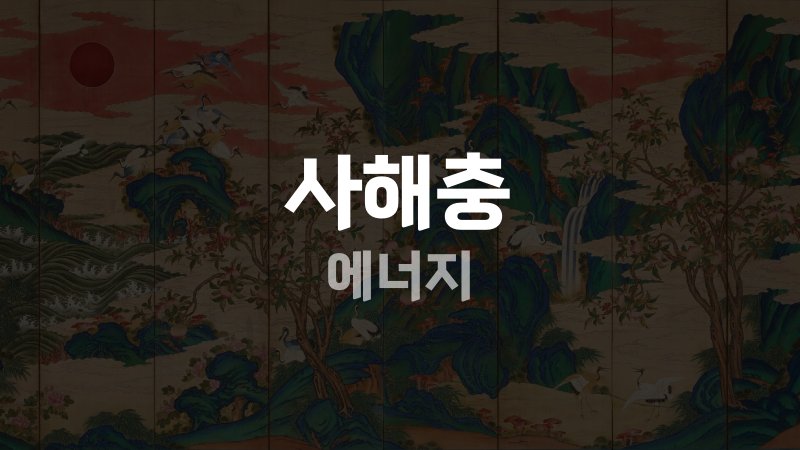 사해충 에너지