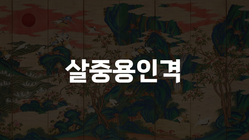 살중용인격