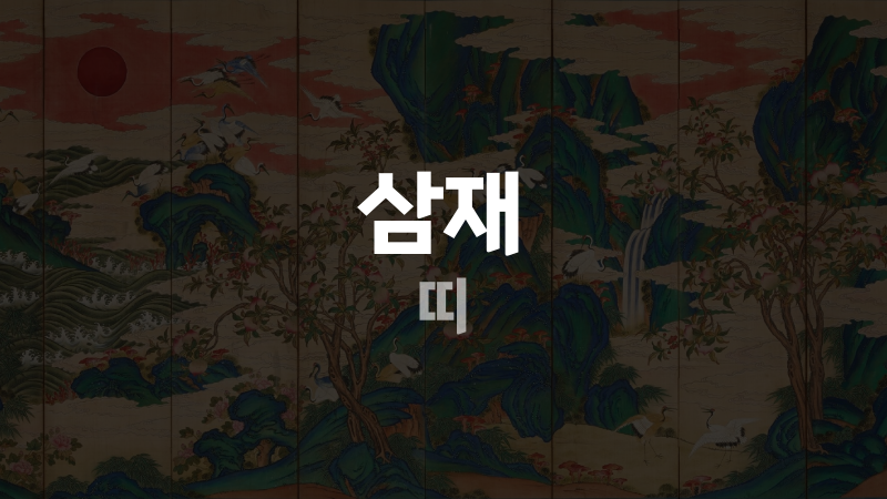 삼재 띠