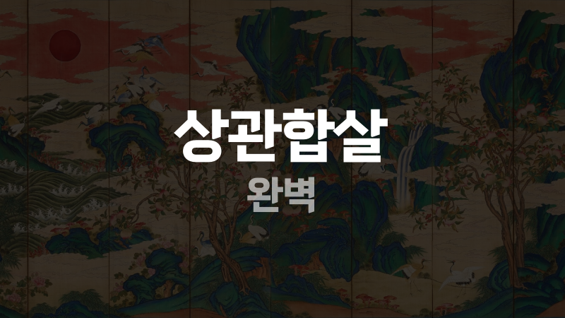 상관합살 완벽
