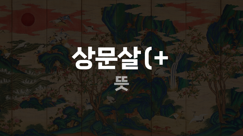 상문살(+ 뜻