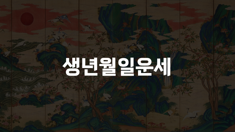 생년월일운세