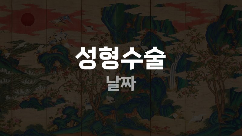 성형수술 날짜