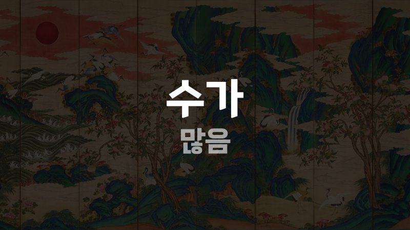 수가 많음