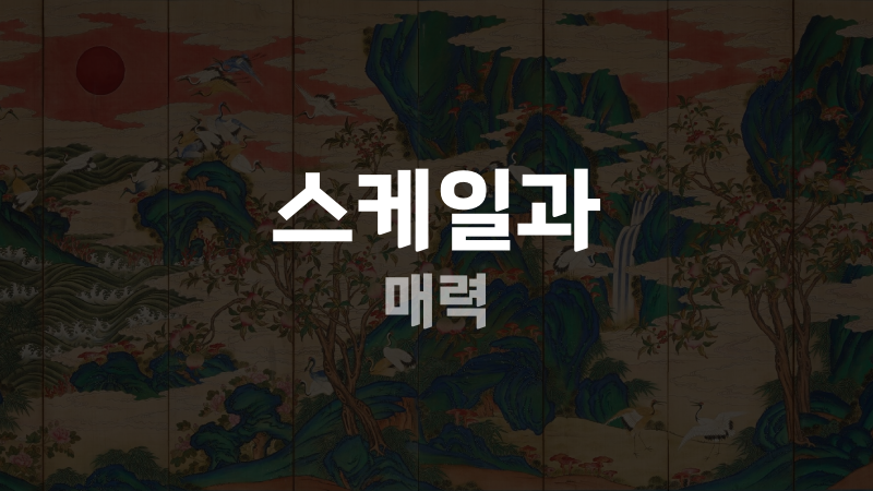 스케일과 매력