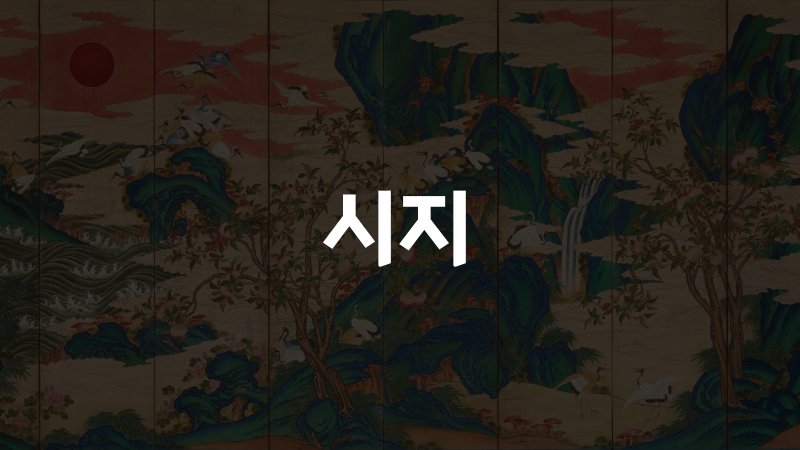 시지