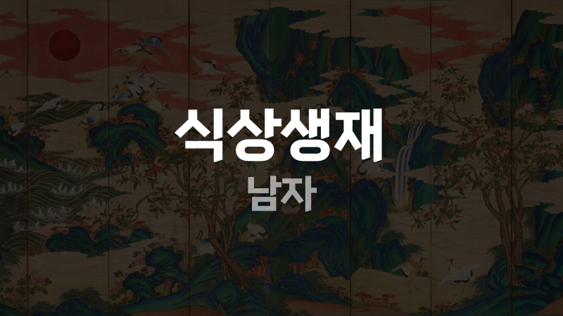 식상생재 남자