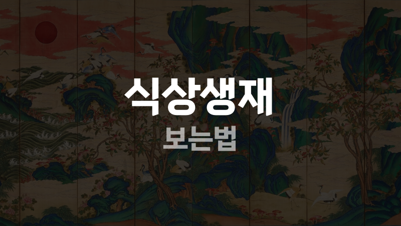식상생재 보는법