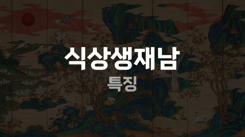 식상생재남 특징